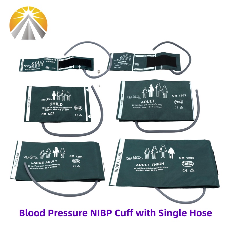 Six Sizes Available Neonates C - مراجعة Dual Monitor Stand وسعره